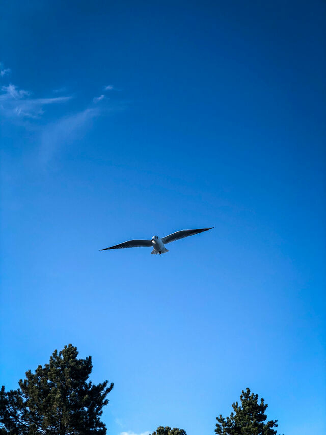 Ferienhaus in Glücksburg - Ferienhaus Außenförde - Bild 24