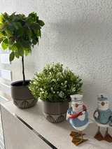Ferienwohnung in Zingst - Ostseem&ouml;we NEU - Bild 20