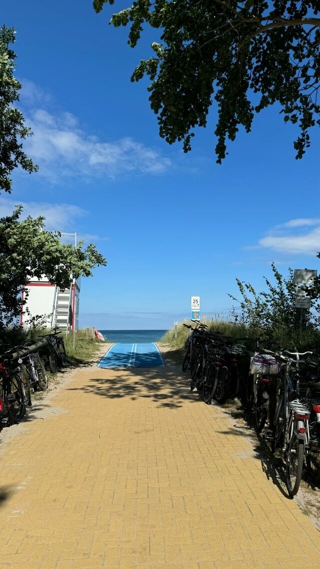 Ferienwohnung in Ostseeheilbad Zingst - Villa Blau Wohnung 03/Studio - Bild 22