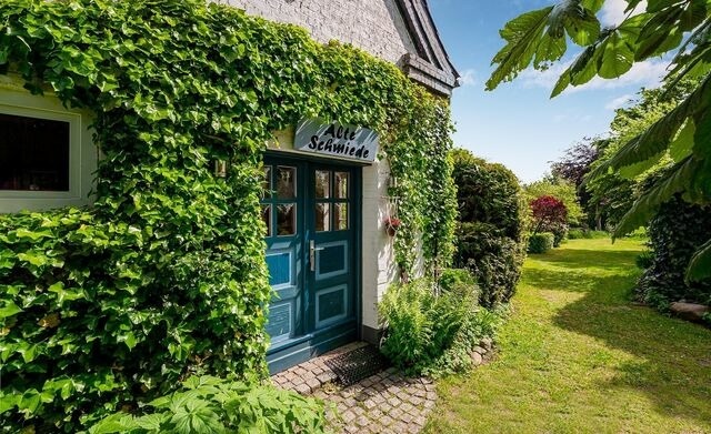 Ferienhaus in Ulsnis - Ferienhaus Alte Schmiede - Bild 14