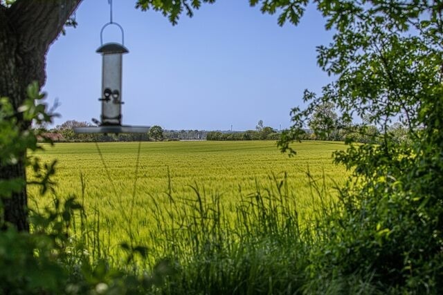 Ferienwohnung in Gelting - Ferienwohnung Luv - Bild 19