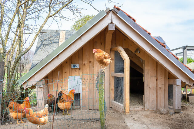 Ferienwohnung in Waabs - Ostseegarten Langholz - Ferienwohnung Kleine Wolke (bis 2 Pers) - Bild 17