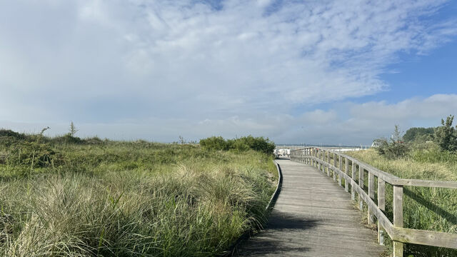 Ferienwohnung in Gro&szlig;enbrode - M&ouml;wennest 13 - Gro&szlig;enbrode - Bild 25