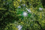 Ferienwohnung in Dahme - Lichtermeer 2.0 - Bild 4