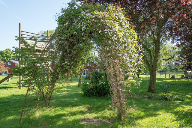Ferienhaus in Grömitz - Backhaus - Bild 12
