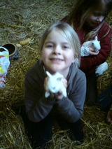 Ferienhaus in Grömitz - Backhaus - Bild 19