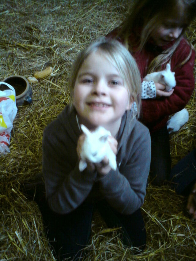 Ferienhaus in Grömitz - Backhaus - Bild 19