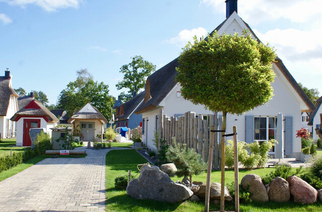 Ferienhaus in Glowe - Traum Reethaus am Meer mit Pool, Sauna & Yoga - Bild 5