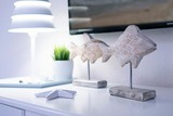 Ferienwohnung in Dahme - Strandnest - Bild 10