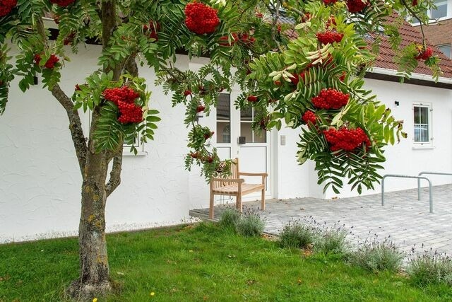 Ferienwohnung in Gr&ouml;mitz - Reiher 1 S&uuml;d - Bild 22