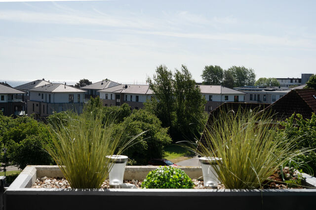 Ferienwohnung in Dahme - Berolina Mika - Bild 13