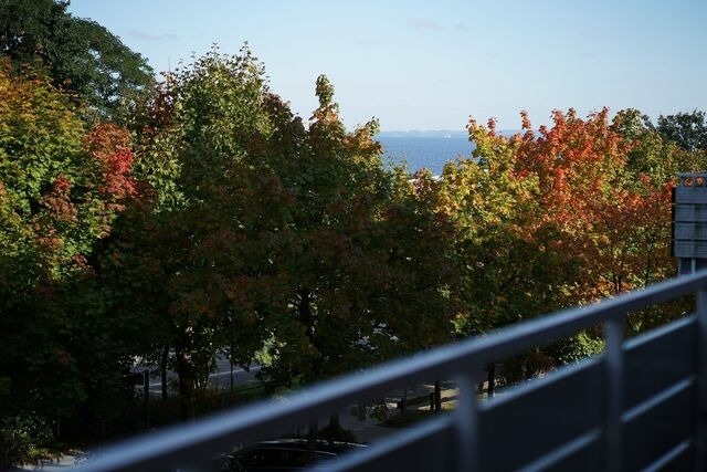 Ferienwohnung in Scharbeutz - Seepark Muschelschubser - Bild 7