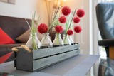 Ferienwohnung in Grömitz - Residenz am Kurpark- Wohnung 16 - Bild 6