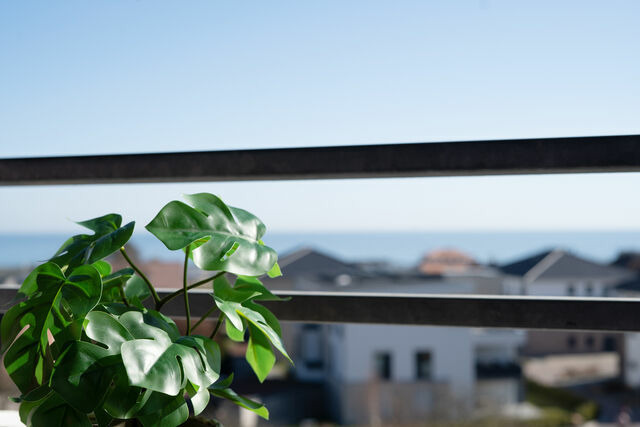 Ferienwohnung in Dahme - Berolina Tr&auml;umchen - Bild 14