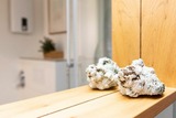 Ferienwohnung in Timmendorfer Strand - Sonnenkieker - Bild 15
