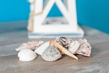 Ferienwohnung in Scharbeutz - Strandwetter - Bild 8