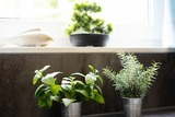 Ferienwohnung in Gr&ouml;mitz - Birkenblick - Bild 20