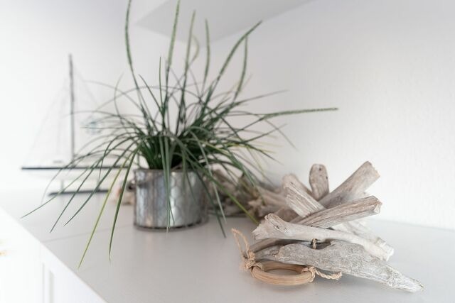 Ferienwohnung in Sierksdorf - Seepferdchen Wulkje - Bild 22