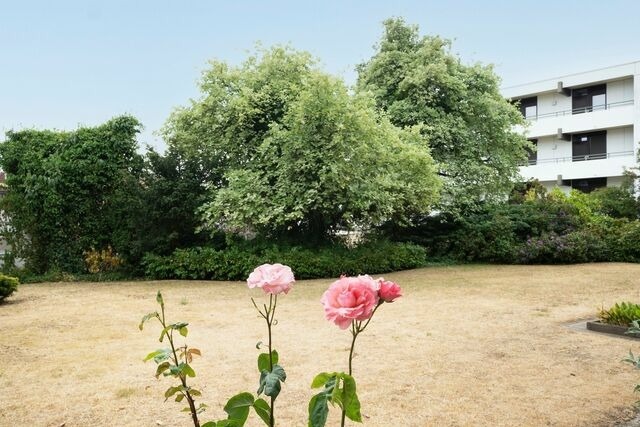 Ferienwohnung in Gr&ouml;mitz - Schlesierweg 8 M&ouml;wennest - Bild 11