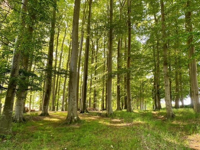 Ferienwohnung in Rieseby - Gut Büchenau - Ferienwohnung Weitsicht - Bild 17