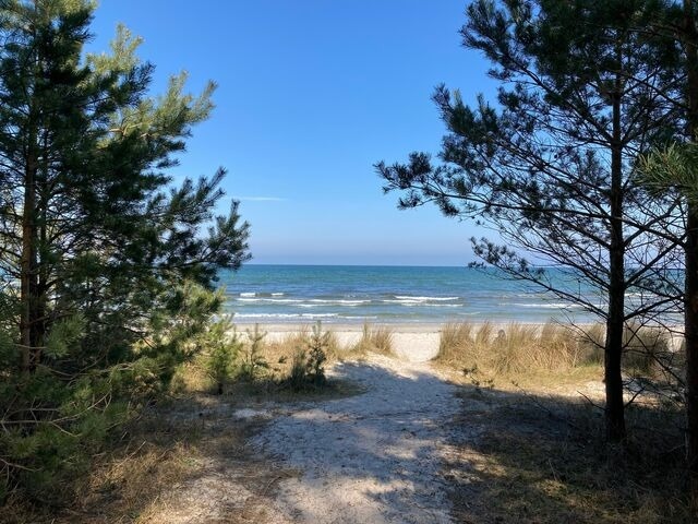 Ferienwohnung in Binz (Ostseebad) OT Prora - FeWo Strandgut in PRORA - 5.25 - Bild 25