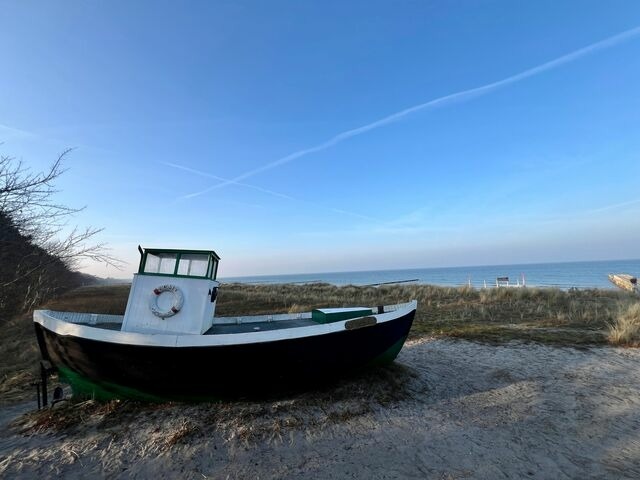 Ferienhaus in Ostseeheilbad Zingst - Windfl&uuml;chter - Bild 23