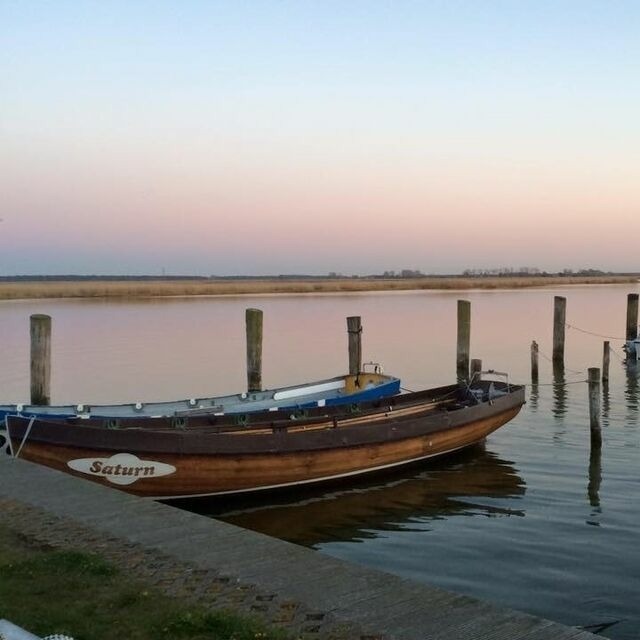Ferienwohnung in Ostseeheilbad Zingst - Wiesenblick - Bild 2