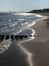 Ferienwohnung in Ostseeheilbad Zingst - Wiesenblick - Bild 3