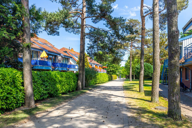 Ferienwohnung in Boltenhagen - Papillon 11-6 "Place sur mer" - Bild 4