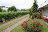 Ferienhaus in Kl&uuml;tz - Ferienbungalow Kl&uuml;tzer Winkel - ABC165 - Bild 14
