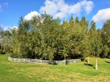 Ferienwohnung in Gollwitz - Spatzennest - Au&szlig;enanlage