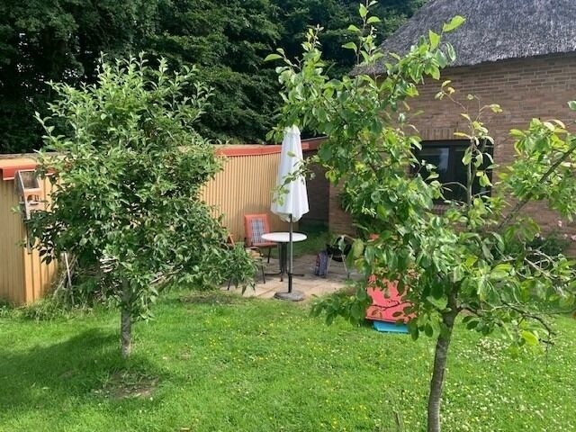 Ferienwohnung in Schaalby - Ferienwohnung Urlaub im Wald - Bild 3