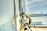 Ferienwohnung in Heiligenhafen - Ferienpark - Haus O, App. 0O0712 - Bild 12