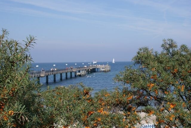 Ferienwohnung in Insel Poel - FeWo Thule Poel an der Ostsee - ABC368 - nur Ferieng&auml;ste! - Bild 17