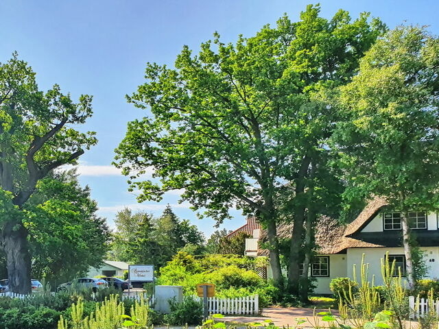 Ferienwohnung in Prerow - Romantischer Winkel Fewo 60b/4 - Bild 12
