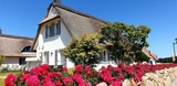 Ferienhaus in Zierow - Reethaus "Alana" - Bild 1