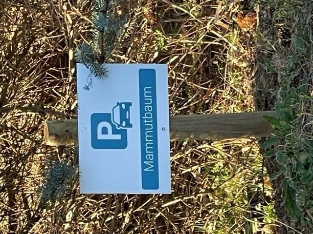 Ferienwohnung in Mariendorf - Naturidyll Mariendorf - Ferienwohnung Mammutbaum - Bild 10
