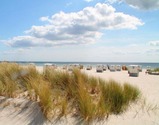 Ferienwohnung in Brenkenhagen - Ostseebrise 17 - Strand
