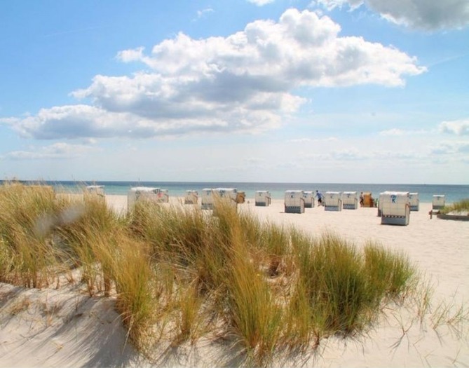 Ferienwohnung in Brenkenhagen - Ostseebrise 17 - Strand