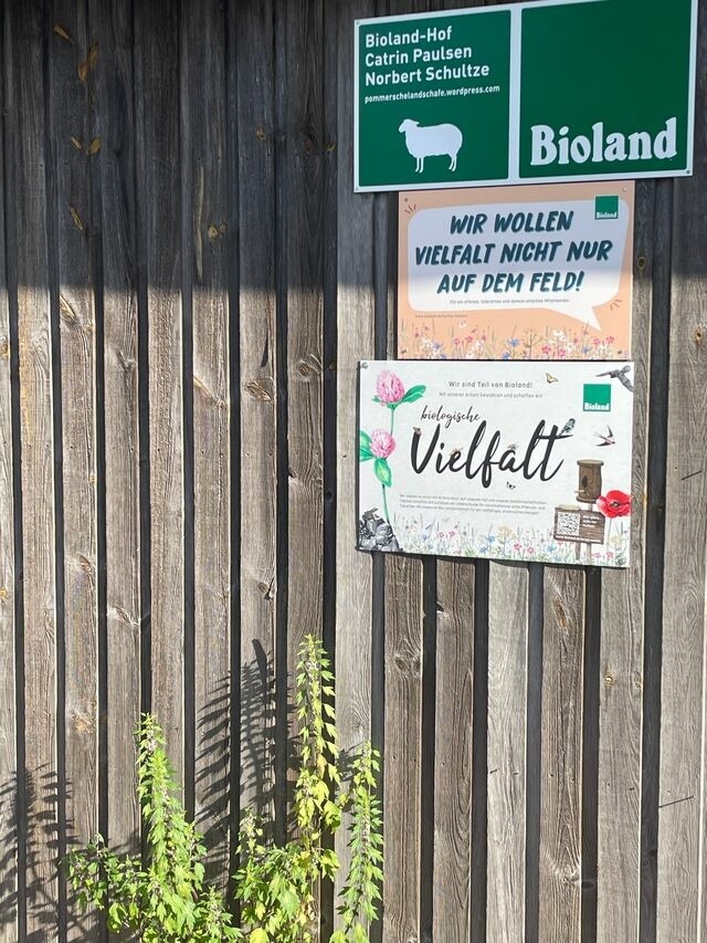 Ferienwohnung in Wagersrott - Ferienwohnung nahe Ostsee & Schlei - Bild 16