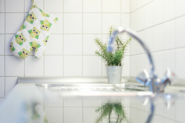 Ferienwohnung in Fehmarn OT Gahlendorf - Reiterhof Rickert Sommerwiese - Bild 11